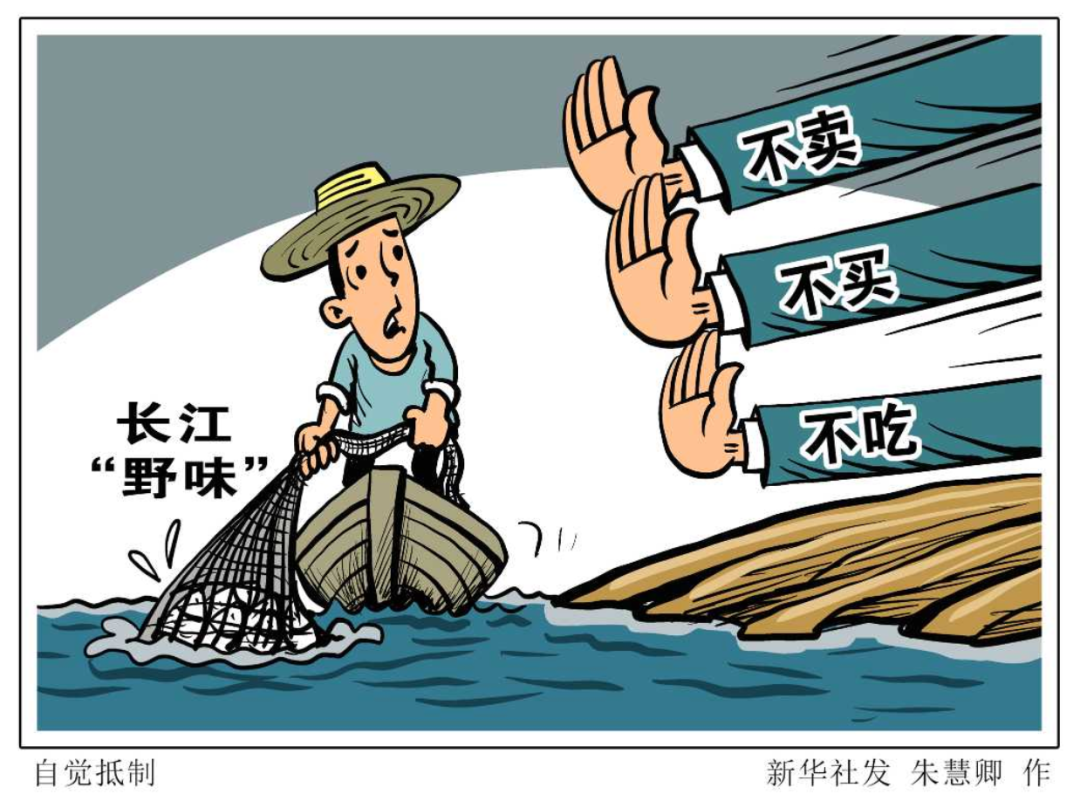 长江|“今天不吃子孙鱼，明天子孙有鱼吃”