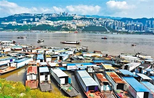 长江|“今天不吃子孙鱼，明天子孙有鱼吃”