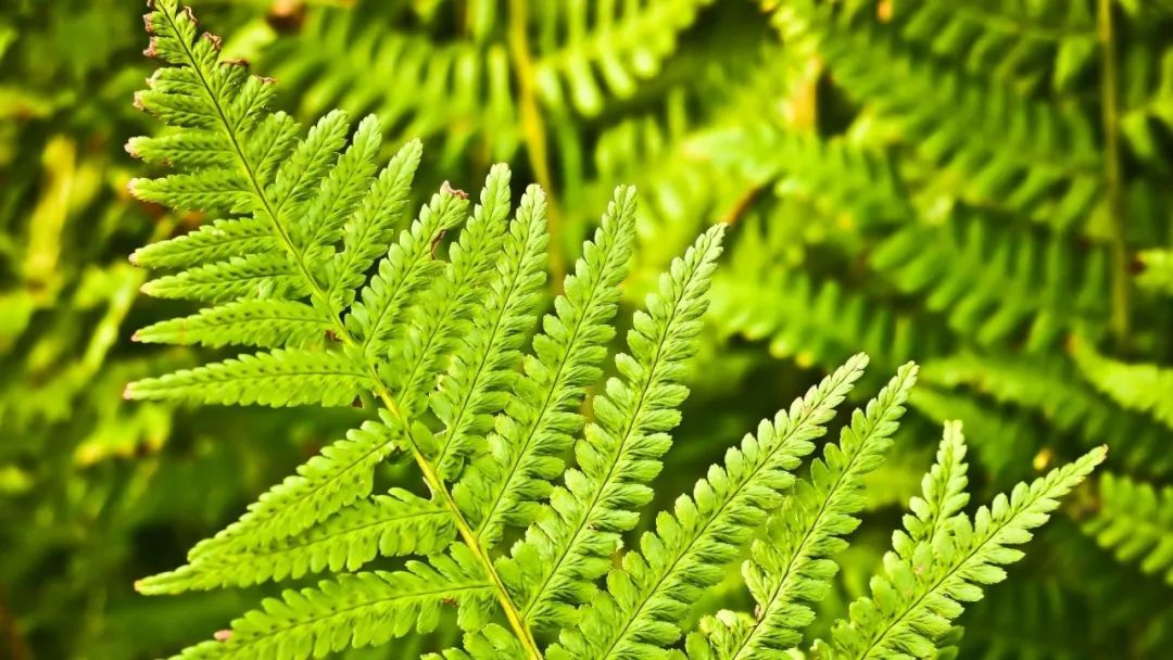 |【夜读】做事的三重境界