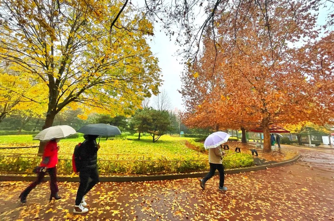 天气|冬雨中，北京美丽“冻”人！