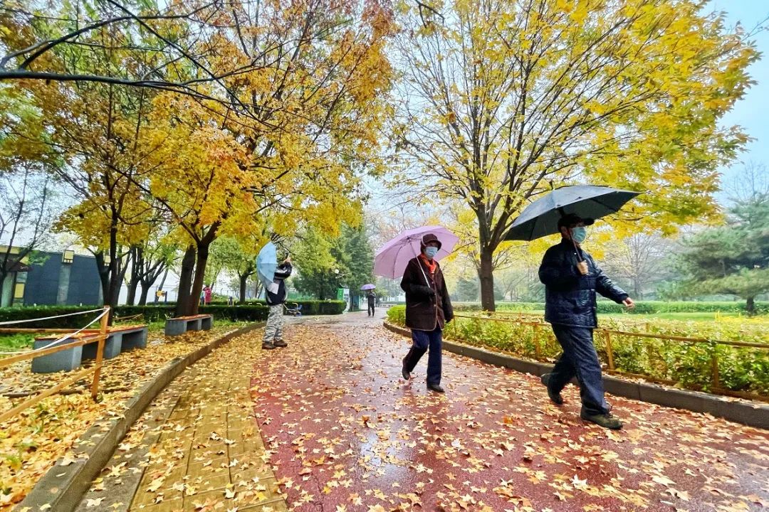 天气|冬雨中，北京美丽“冻”人！