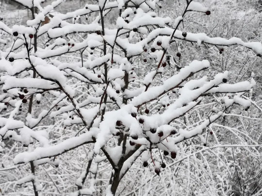 怀柔|北京山区来了今冬头场雪！群山戴雪，超美！