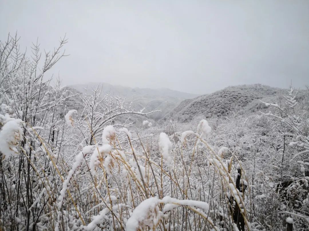 怀柔|北京山区来了今冬头场雪！群山戴雪，超美！