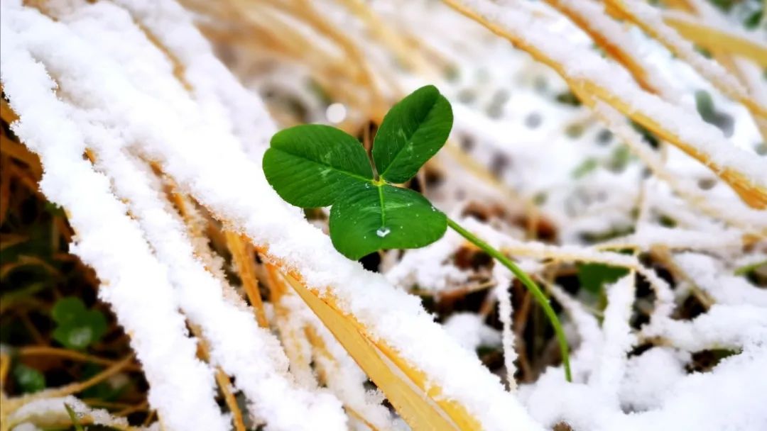 怀柔|北京山区来了今冬头场雪！群山戴雪，超美！