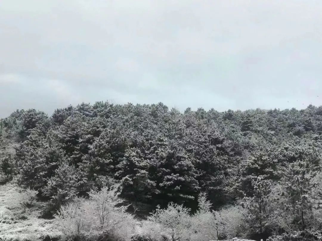 怀柔|北京山区来了今冬头场雪！群山戴雪，超美！