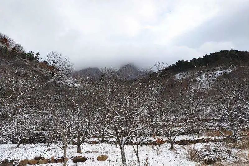 怀柔|北京山区来了今冬头场雪！群山戴雪，超美！