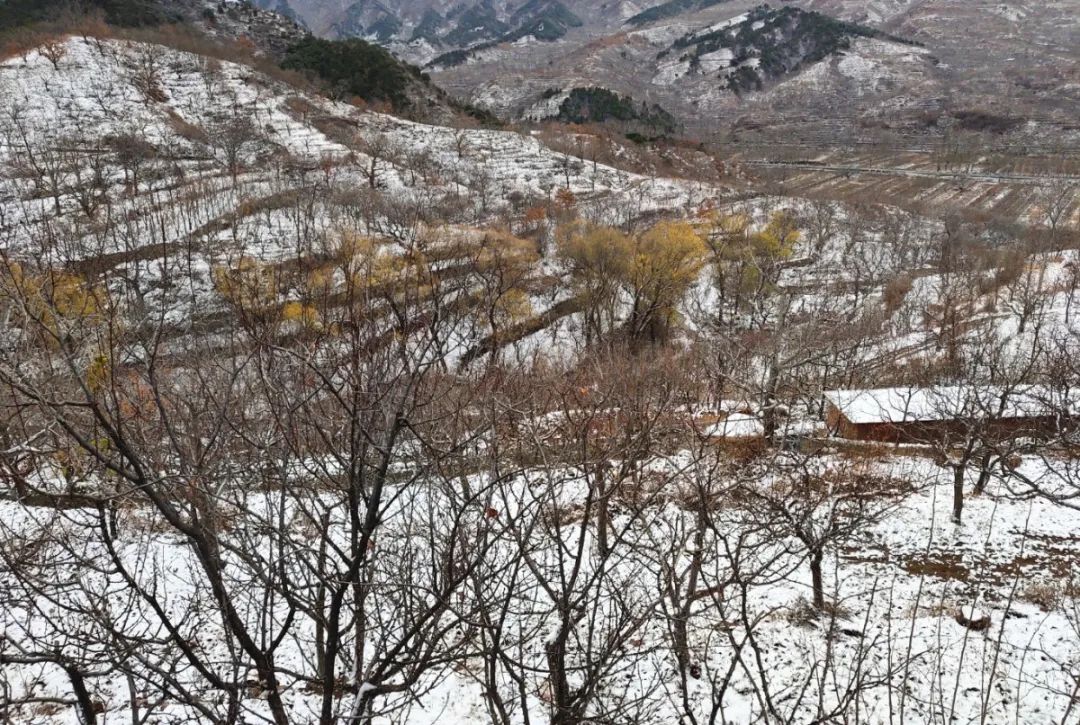 怀柔|北京山区来了今冬头场雪！群山戴雪，超美！