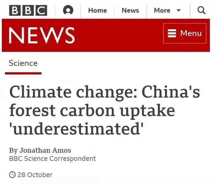 植树造林|BBC：中国植树造林的作用“被低估了”