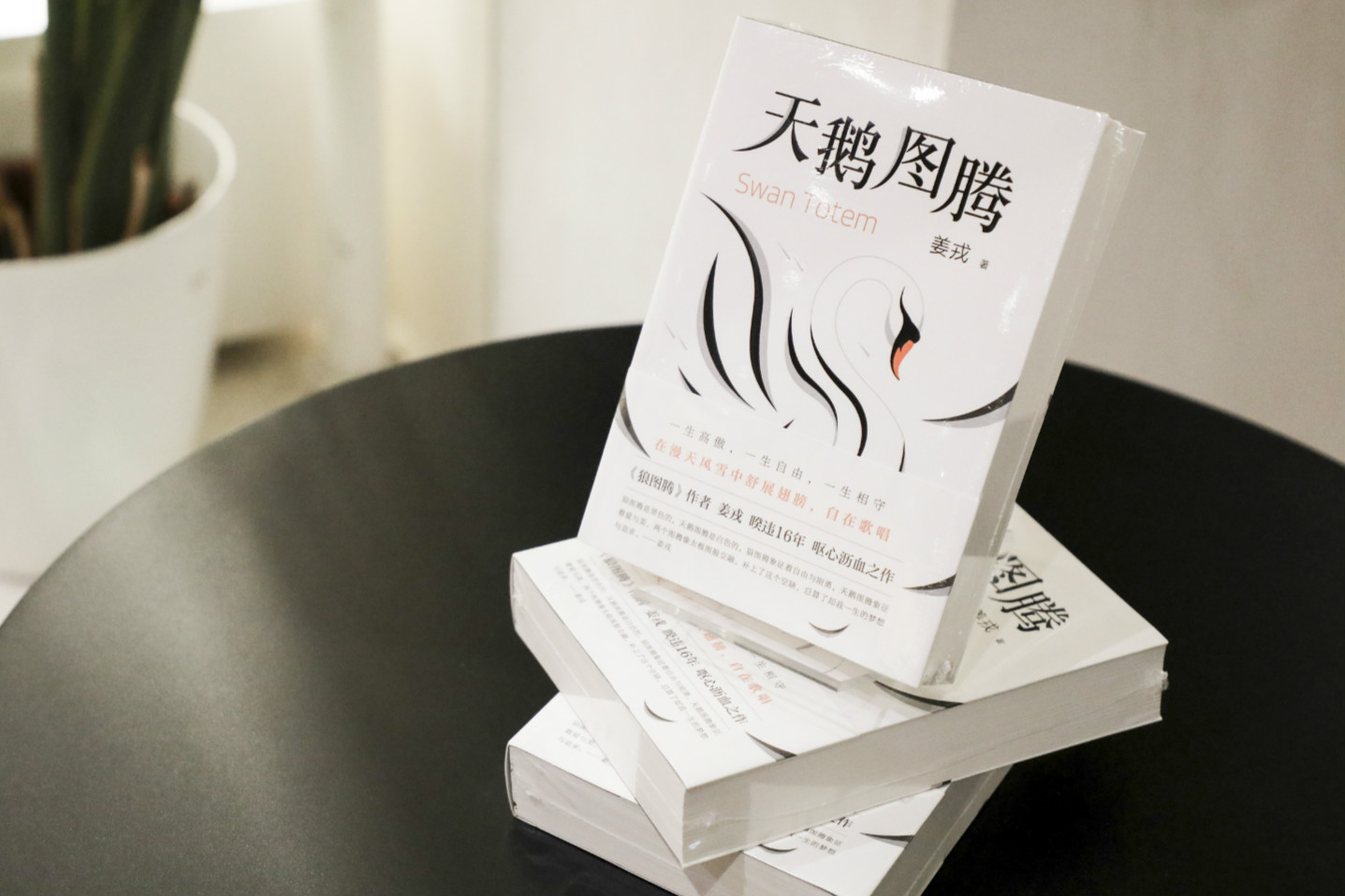 (图1)小说《天鹅图腾》_meitu_1.jpg
