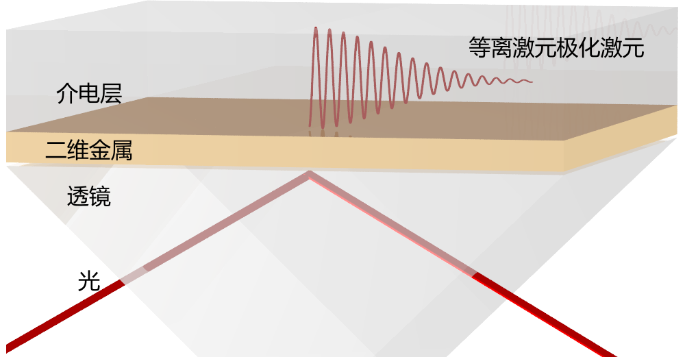 二维|进展 | 二维金属中奇异的等离激元