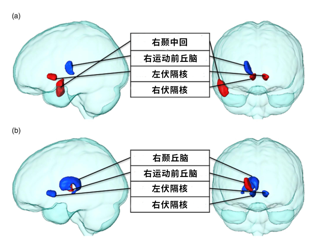 薯片|吃薯片停不下来，是因为每一口都「早有预谋」