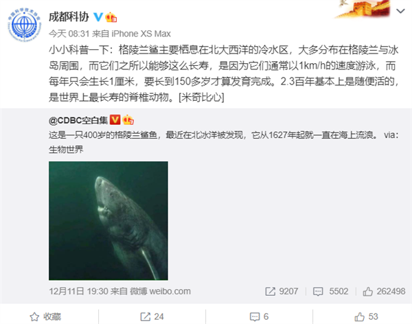 鲨鱼|400岁鲨鱼走红！它生于中国明朝，而比它还长寿的还有……