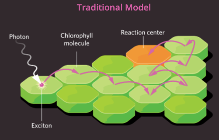 量子|量子力学导致基因突变？科学家们掌握了一些证据