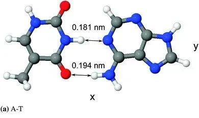 量子|量子力学导致基因突变？科学家们掌握了一些证据