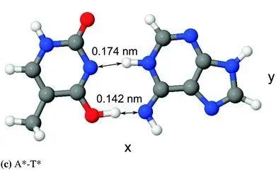 量子|量子力学导致基因突变？科学家们掌握了一些证据