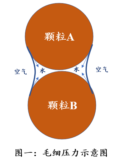 生活|为什么 沙+水=沙雕？| No.238