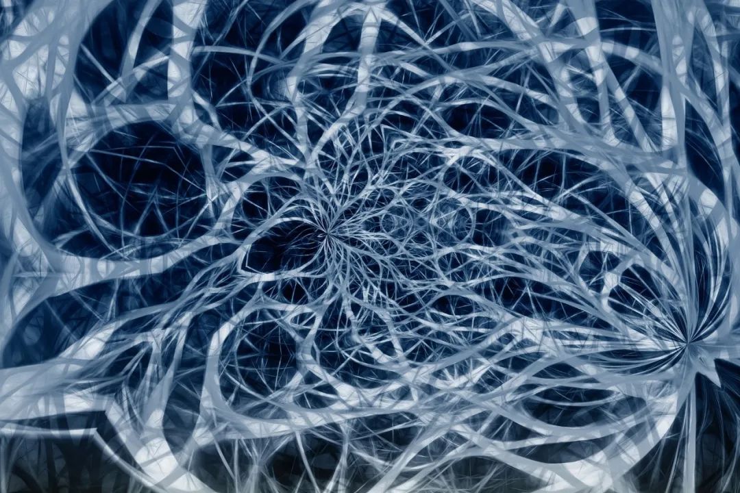 神经科学|头颅被割下来，还能交流？