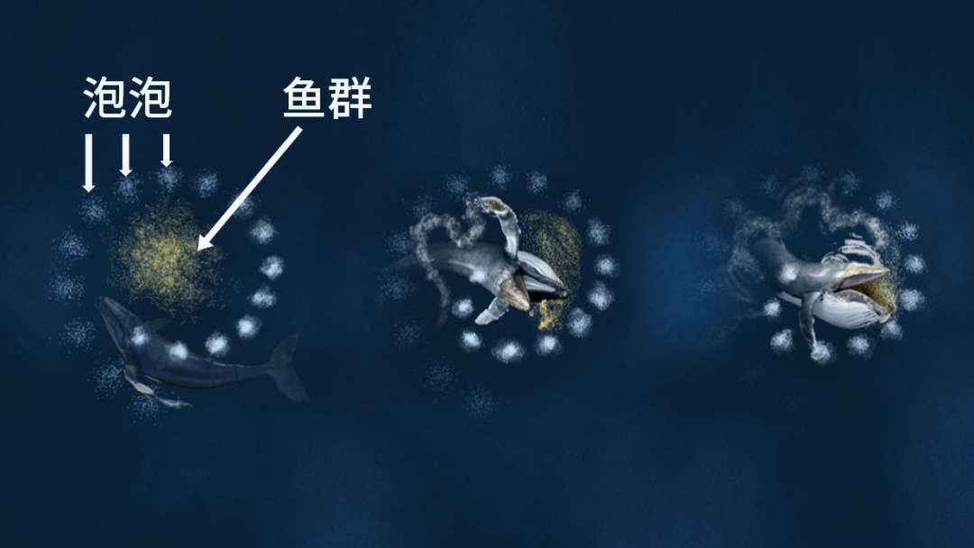 科学|“啪！没了” 小朋友哭了，泡泡科学家却玩出了花