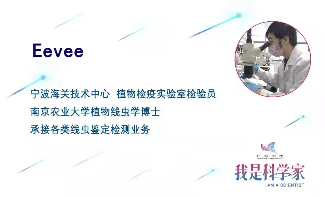 酿酒酵母|老板，来一瓶五千年前埃及人最爱喝的罐装啤酒！