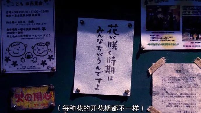 社会|医生在紧急情况下判断失误，是正常现象？