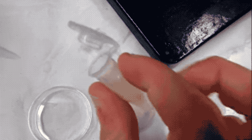 海绵动物|完全打碎还能重生，地球上能做到这一点的只有这种动物