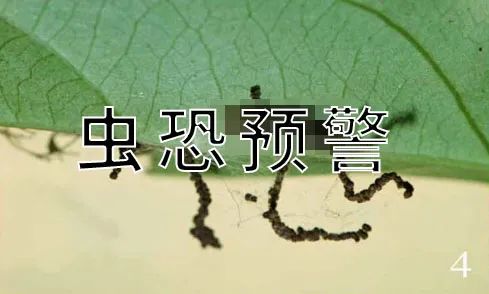 |为什么你家门口,挂着一串串屎呢?