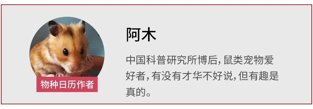 |为什么你家门口,挂着一串串屎呢?