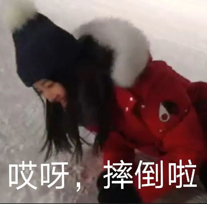 科普|今天的文章是冰冰的