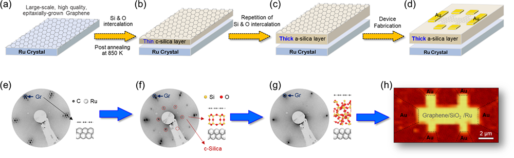 石墨|进展 | 成功实现高质量大面积外延石墨烯与Ru基底表面间的SiO2绝缘插层