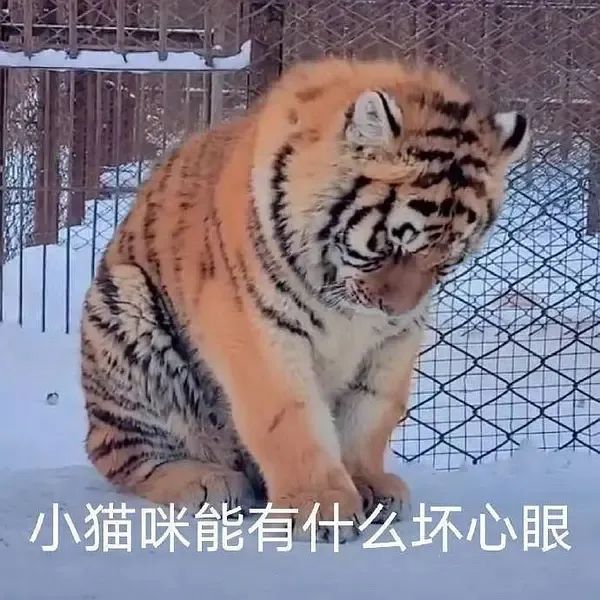 搞笑|量子世界里有两只猫，一只是薛定谔的猫，另一只是......