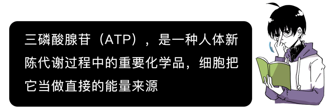 走马灯|人死前脑子里为啥会出现走马灯？