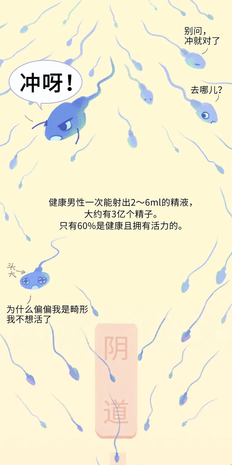 畸形精子|进入身体后的24小时，男人的精子在干什么？