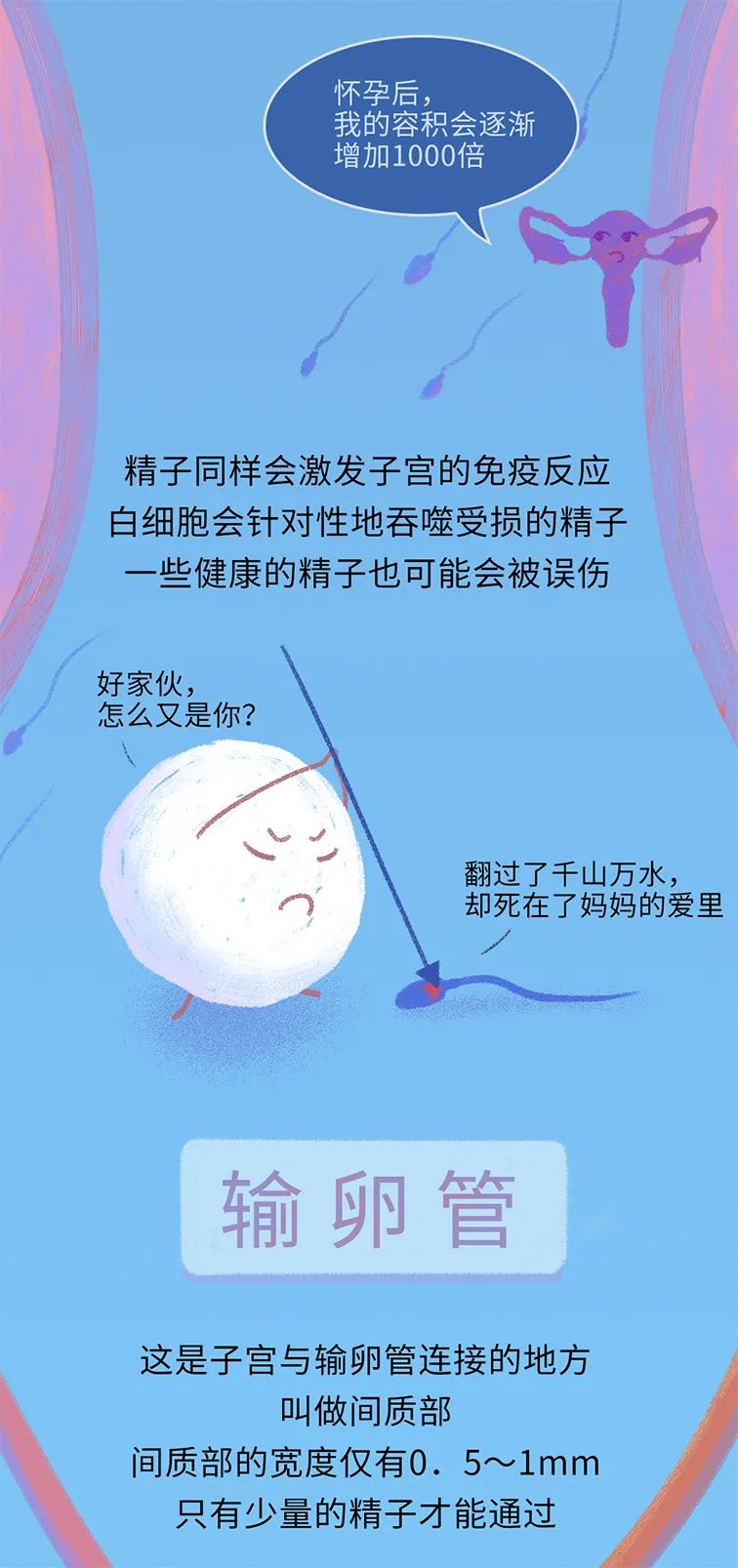 畸形精子|进入身体后的24小时，男人的精子在干什么？