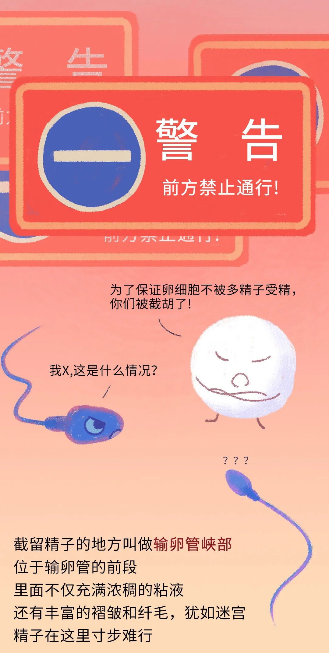 畸形精子|进入身体后的24小时，男人的精子在干什么？