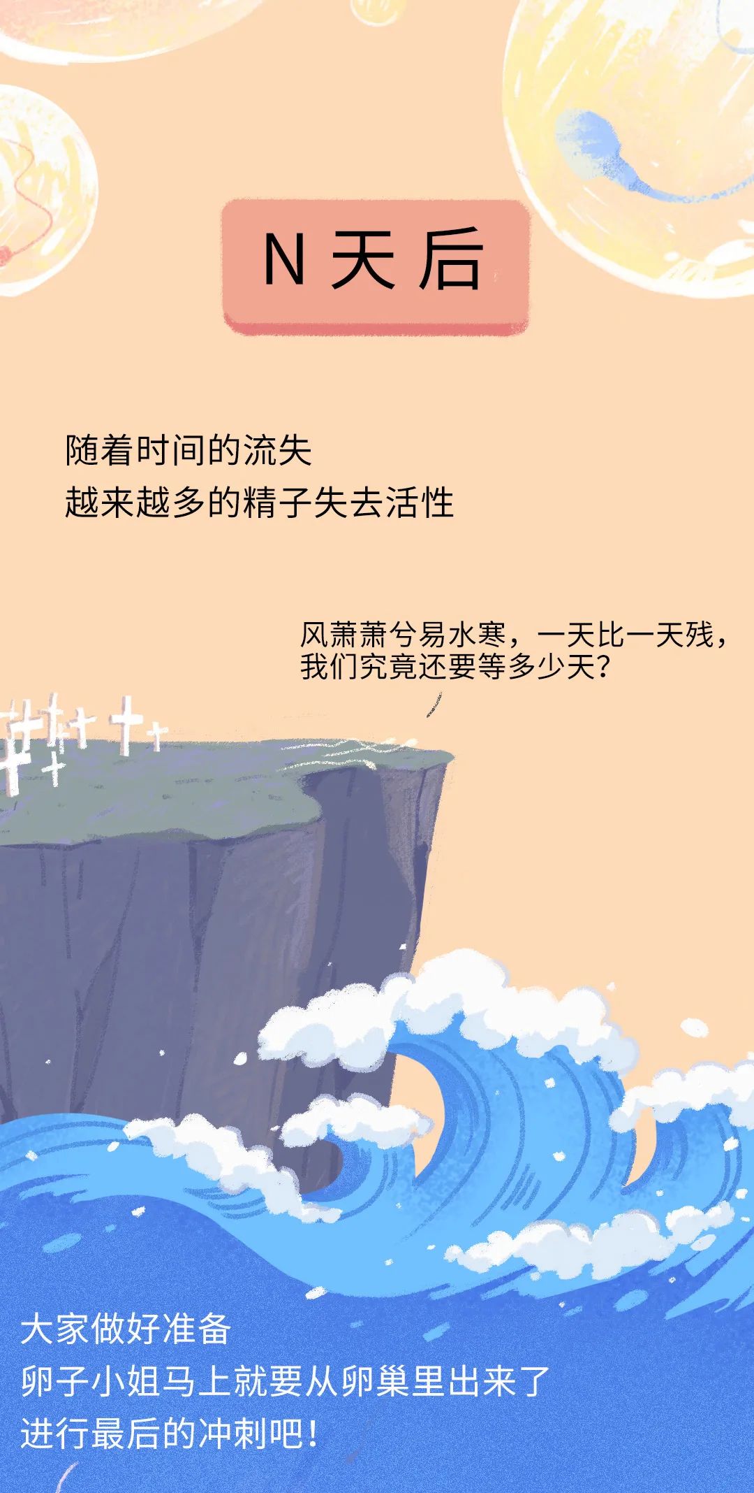 畸形精子|进入身体后的24小时，男人的精子在干什么？