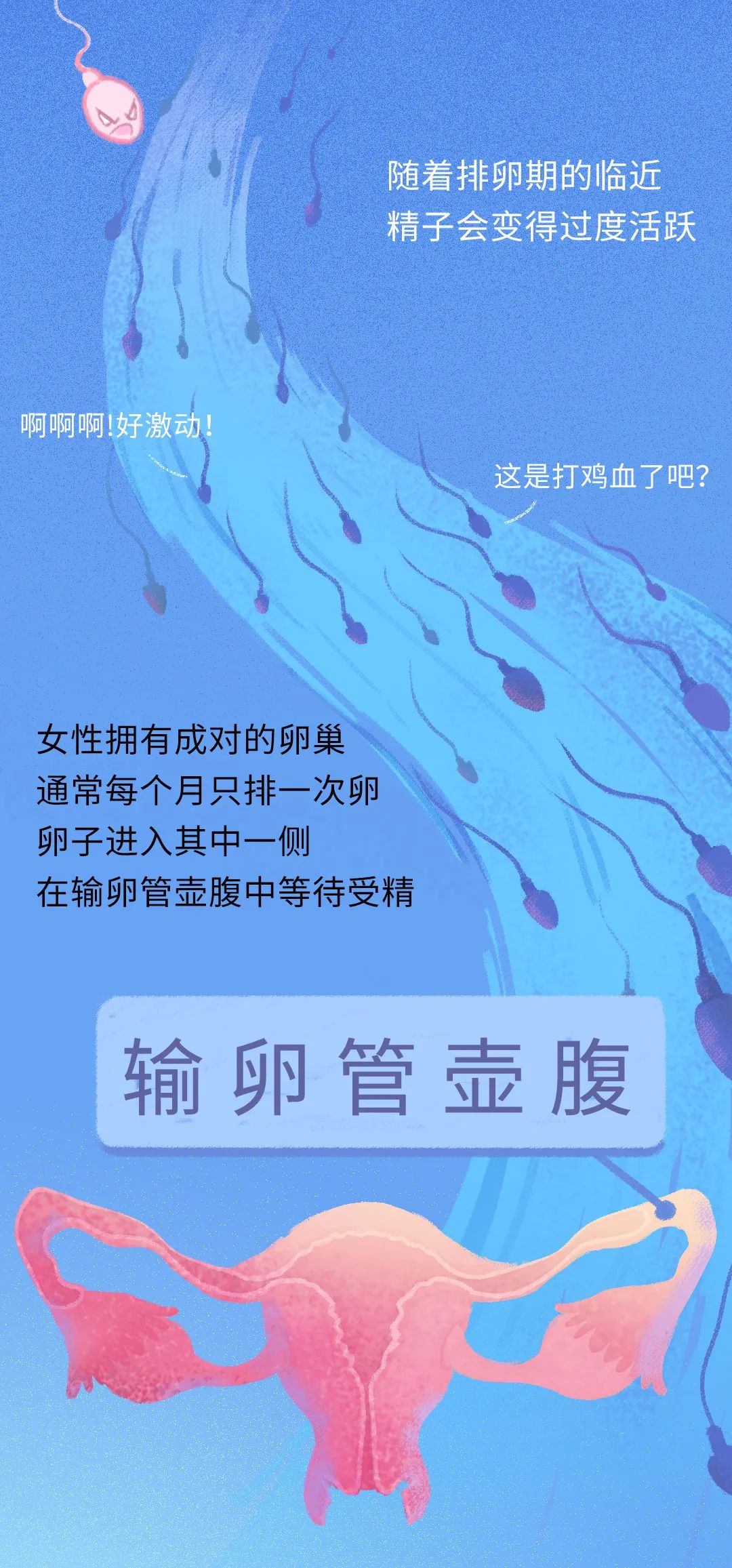 畸形精子|进入身体后的24小时，男人的精子在干什么？