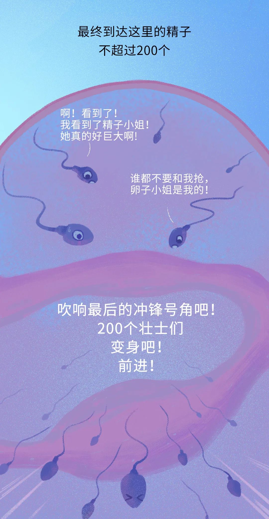 畸形精子|进入身体后的24小时，男人的精子在干什么？