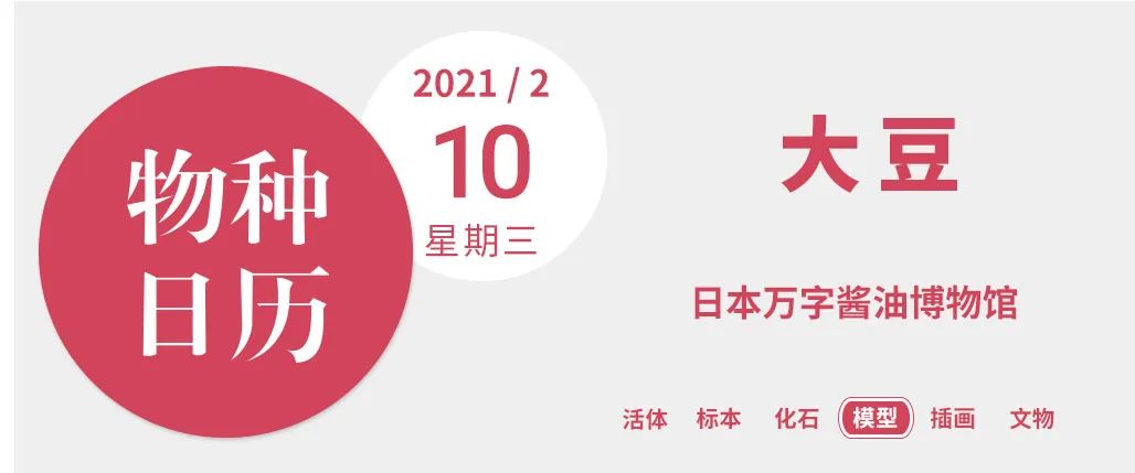 日本酱油|勾兑的酱油，还有没有灵魂？