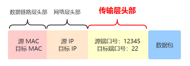 tcp|上个网也要签协议？没错，这就是TCP