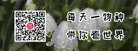 菜籽油|我跟航母吃一样的油，所以我=航母