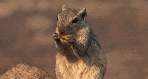 杏仁|花生瓜子大杏仁们,为啥这么上瘾?