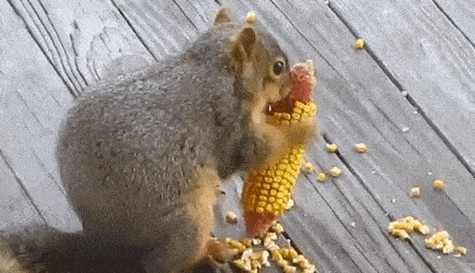 杏仁|花生瓜子大杏仁们,为啥这么上瘾?