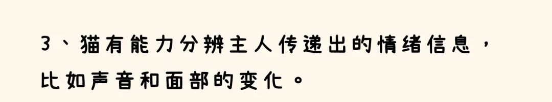 生活|没有人比我更懂做铲屎官
