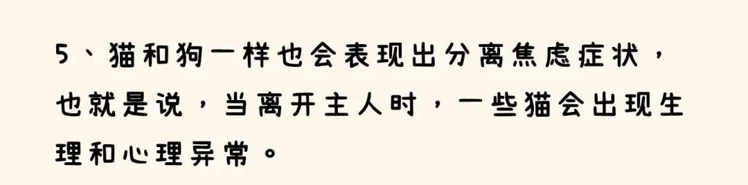 生活|没有人比我更懂做铲屎官