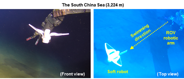 机器人|“海底1万米！” 浙大仿生软体智能机器鱼成功“打卡”马里亚纳海沟登《自然》封面