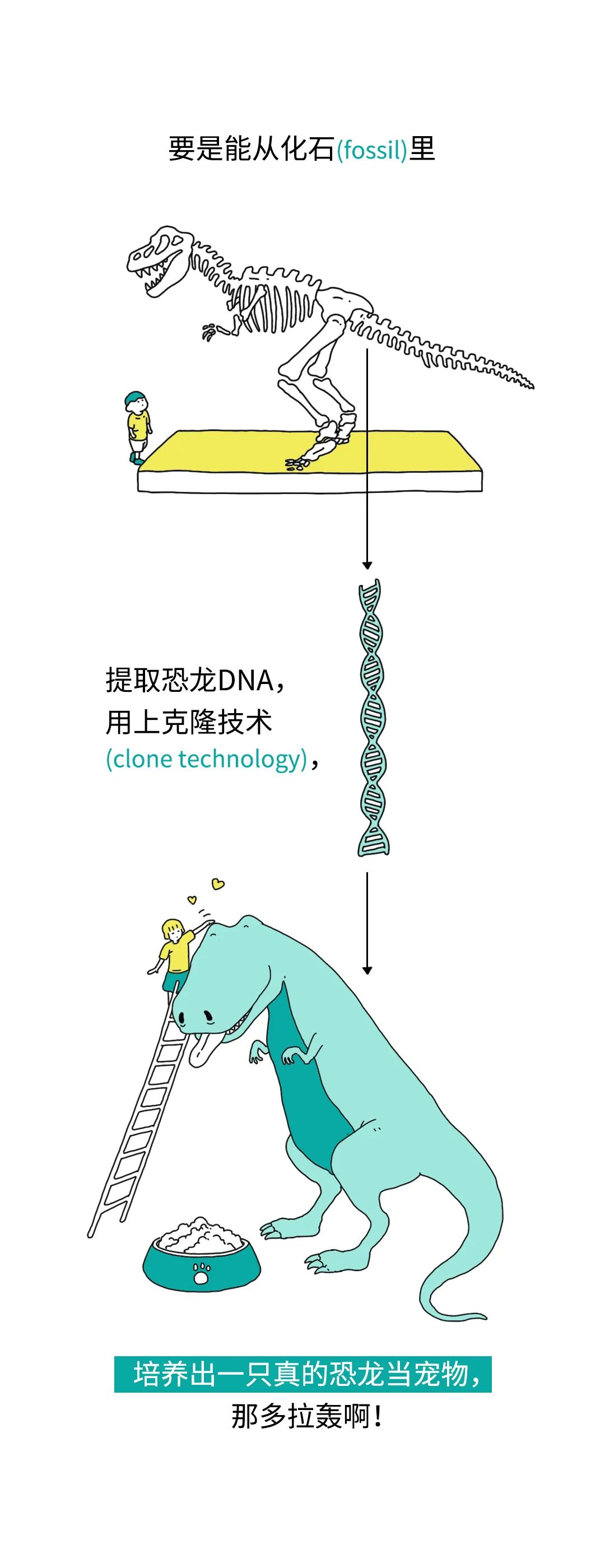 恐龙|我们能复活恐龙吗?