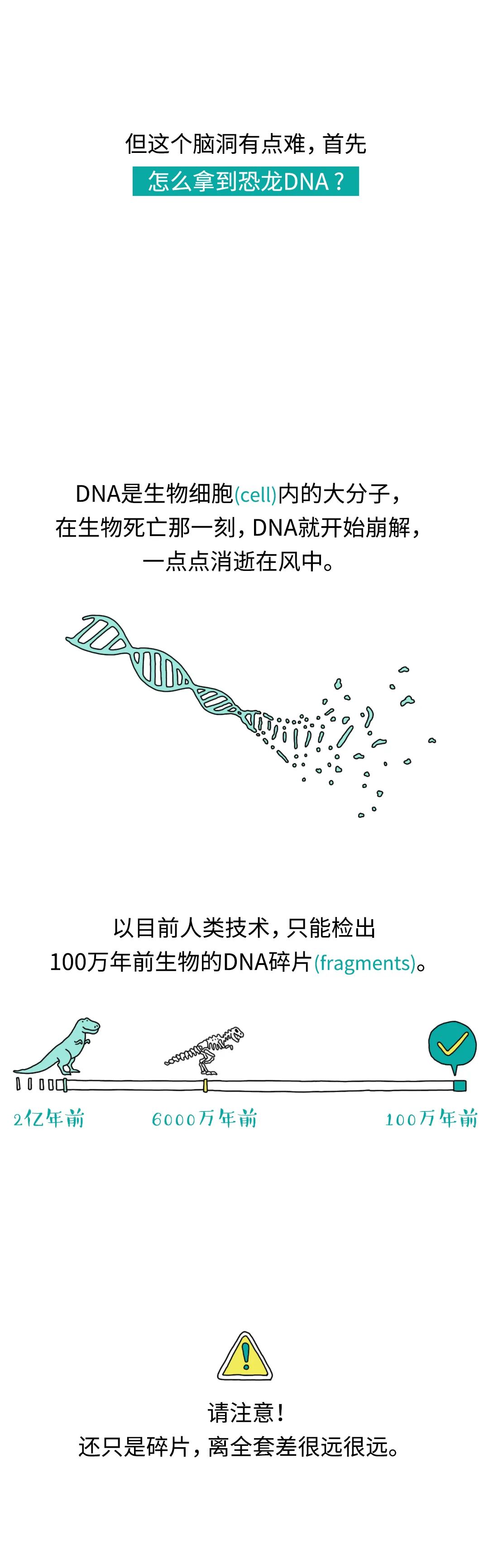 恐龙|我们能复活恐龙吗?