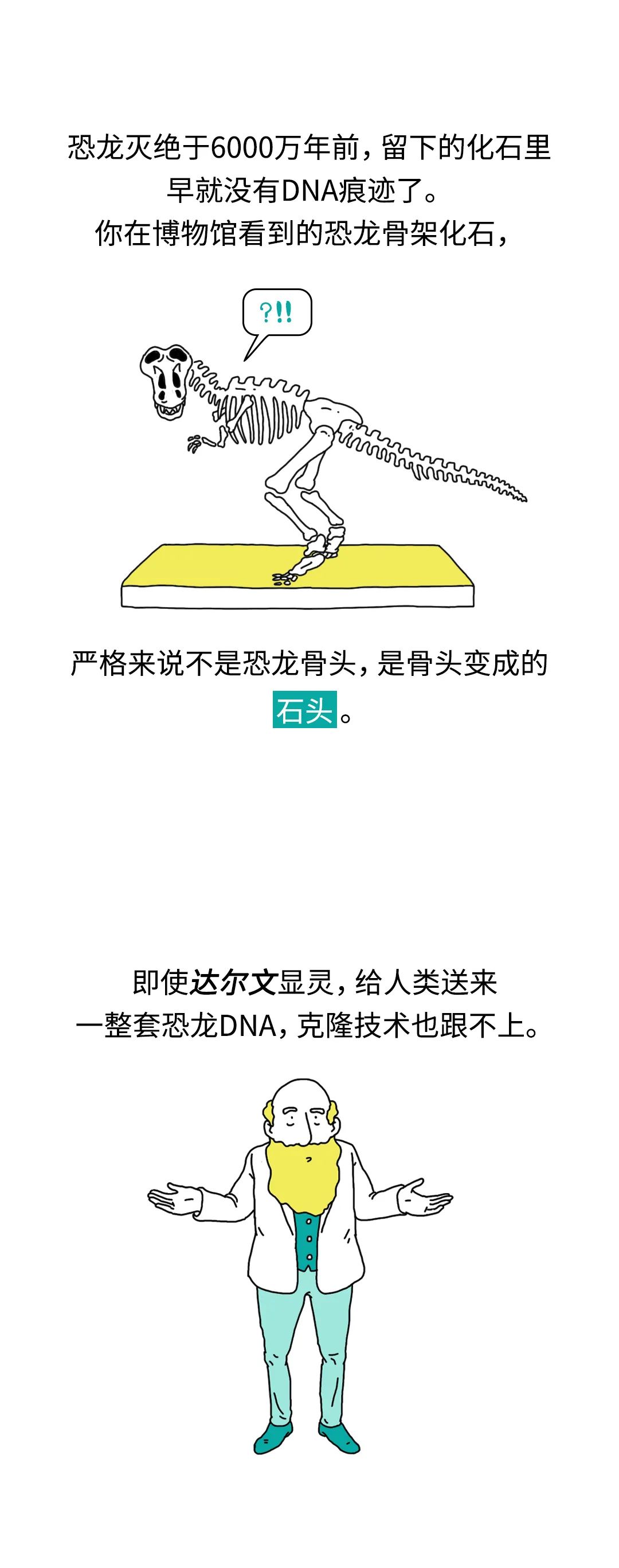恐龙|我们能复活恐龙吗?