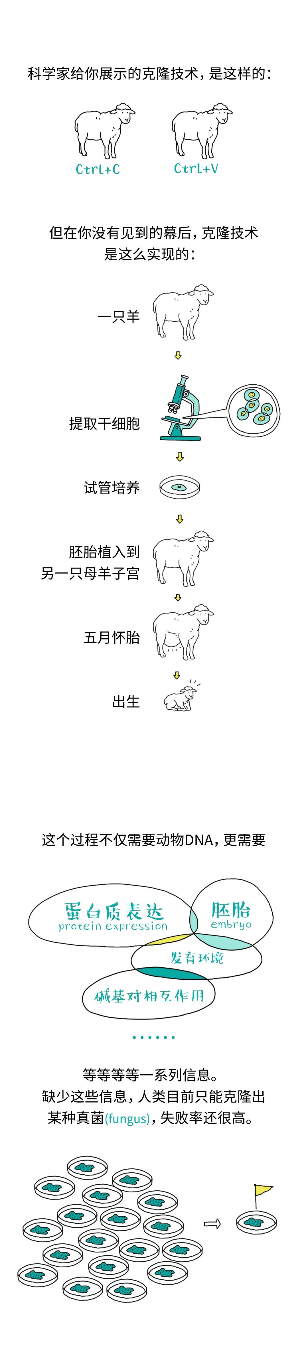 恐龙|我们能复活恐龙吗?