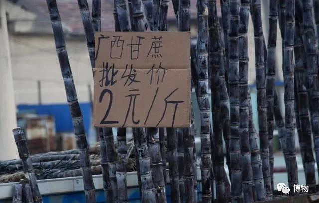 甘蔗|甘蔗到底哪头甜？根根还是尖尖？